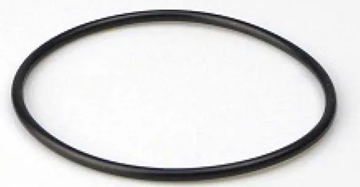 Nanni O-Ring / Dichtung