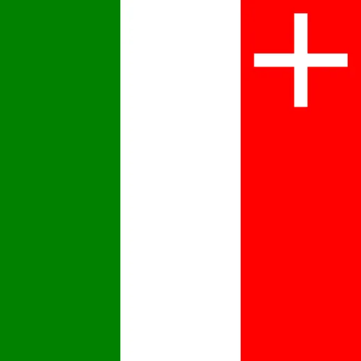 Neuenburg Flagge 20x30cm