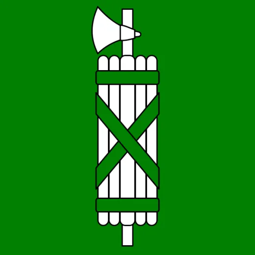 Sankt Gallen Flagge 20x30cm