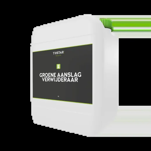 SANOSEPT - Entferner für grüne Ablagerungen