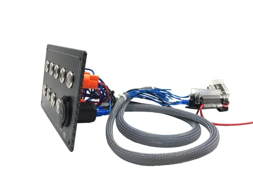 Satz Mit 24 Etiketten Für Die Schalttafel, Polycarbonat In Carbon-Optik