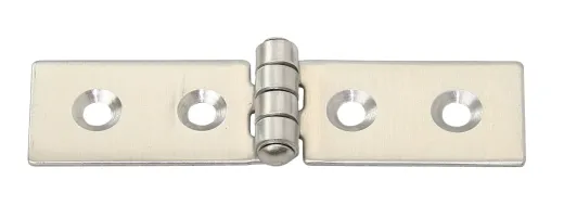 Scharnier AISI304 80x20mm