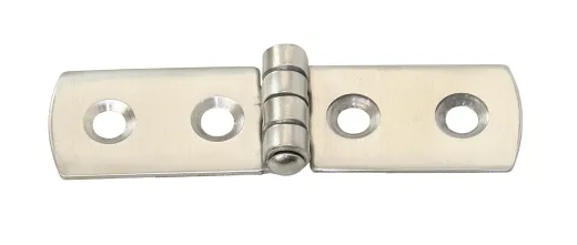 Scharnier AISI304 80x20mm