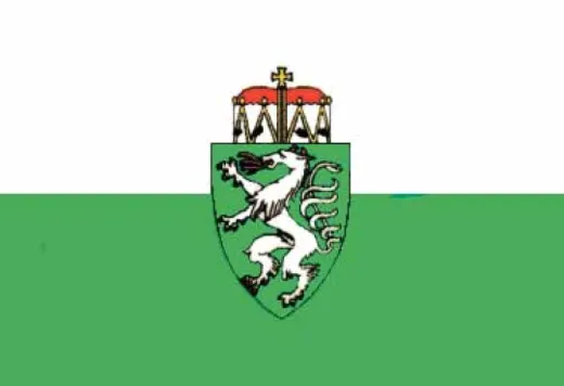 Steiermark Flagge 20x30cm