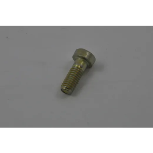 Steyr ZYL.SCHR.M.INNENSK.NIED.K. DIN 6912-M6x16-