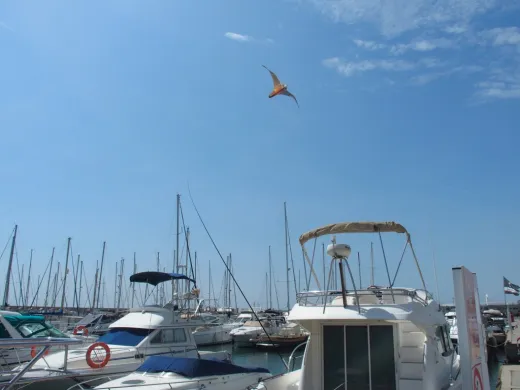 StopGull-Falcon 5 Meter Teleskopstange