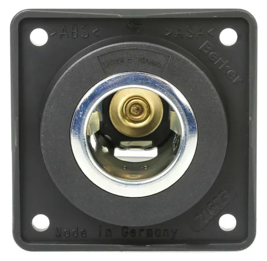 Wandsteckdose für großen Stiftstecker