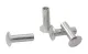 Alu-Niete f.Kopfbretter 3.9x10.0 mm Pack a 100 St