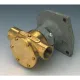 Johnson Impellerpumpe F7B-9
