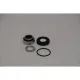 Johnson Mechseal CarCerNit FIP2025