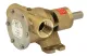 Johnson Pump Bronze Impellerpumpe F7b-8, 107l/Min, 1-Innengewinde, Fuß-/Riemenscheibenantrieb