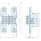 PLASTIMO HINGE INVISIBLE 70X43MM