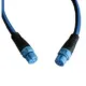 Raymarine STNG Backbone-Kabel 400 mm