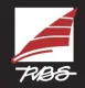 RBS Epoxy Full Batten E19400C 19mm/240cm