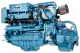 Solé Schiffsdiesel Sdz 280 Turbo & Intercooler, Mit Technodrive Wendegetriebe Tm265a, R=2.30:1