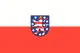 Thüringen Flagge 20x30cm