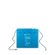 Victron Smart Lithium-NG 300 Ah Batterie LiFePO4 12,8V