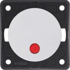 2-poliger Prüfschalter 12V