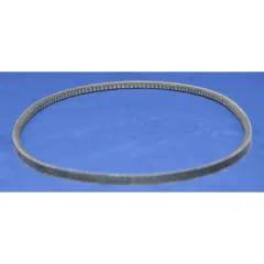 Bukh Keilriemen EPA/Beta