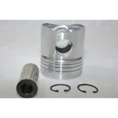 Bukh Kolben komplett DV10/20