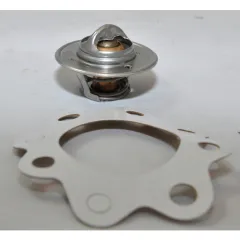 Bukh Thermostat Kielkühlung DV36/48