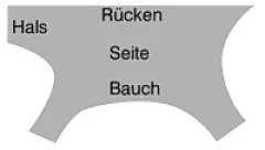 Chromleder 1.5-1.8mm UNGEFÄRBT 1/2 Haut ca.2.5qm