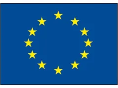 Flagge SB Europarat 40x60cm