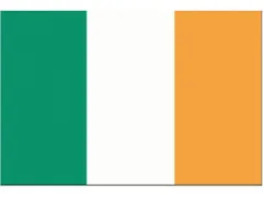 Flagge SB Irland 70x100cm