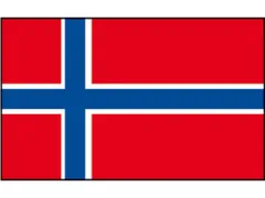 Flagge SB Norwegen 20x30cm