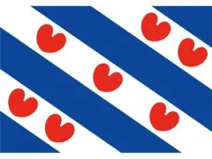 Friesische Flagge (50 x 75 cm)