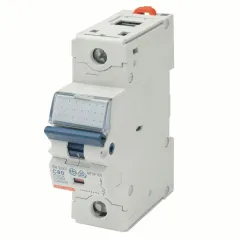 Installatieautomaat 80A 1P 230-400V