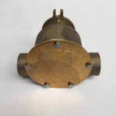 Johnson Anflanschpumpe F8b-9 Für Motorkühlung