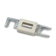 Mastervolt 40 A ANL-Sicherung