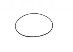 O-Ring-Verschleiß Platte (37 010)