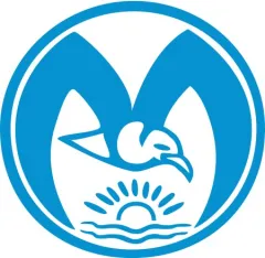 Polierschwamm hart weiß 80mm VP=5 Stück