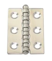 Scharnier AISI316 40x60mm