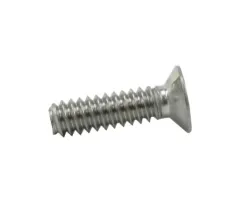SCREW (37010)