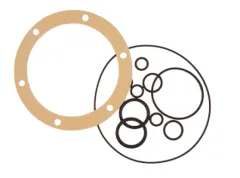 Seal Kit Für Gm0-Mra (Pumpe Für Ge30)