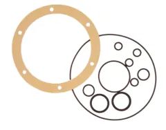 Seal Kit Für Gm2-Mra01 (Pumpe Für Ge50)