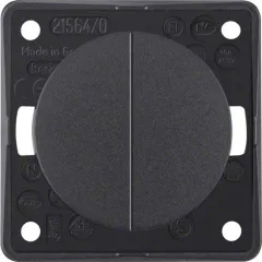 Seriendrucktaster, 2 Schließer, 1 Eingangsklemme (anthrazit matt)