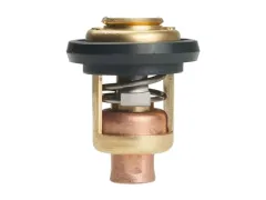 Thermostat Für Narwal