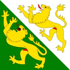 Thurgau Flagge 20x30cm
