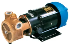 Zentrifugalpumpe A66b, 12v/15a, 17l/Min, Selbstansaugend Bis 5,5m, Förderhöhe Max. 18m, Ø20mm